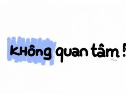 VNI nhạt