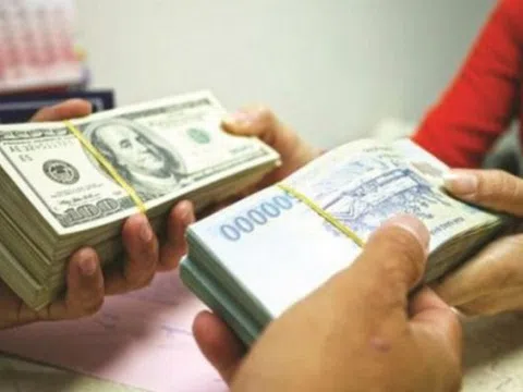 Nới rộng biên độ tỷ giá có nguy hại?